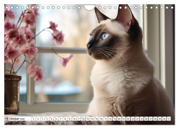 Produktbild: Das Jahr der Samtpfoten (Wandkalender 2026 DIN A4 quer), CALVENDO Monatskalender