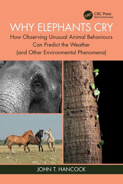 Produktbild: Why Elephants Cry