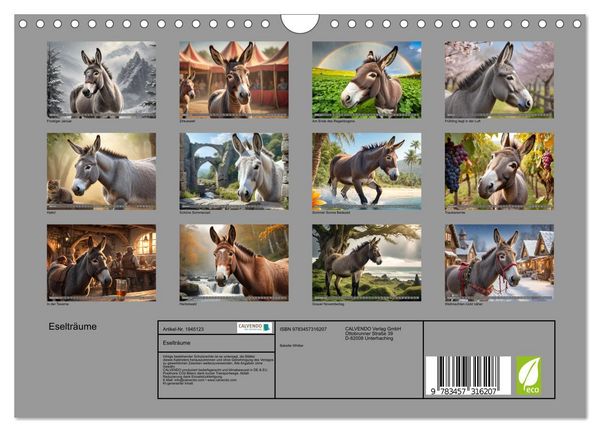 Produktbild: Eseltr&auml;ume (Wandkalender 2026 DIN A4 quer), CALVENDO Monatskalender