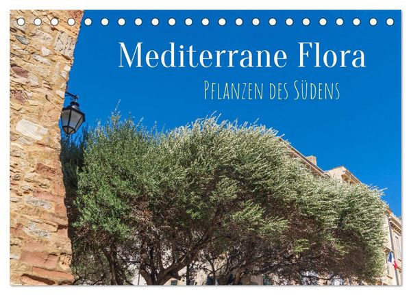 Produktbild: Mediterrane Flora - Pflanzen des S&uuml;dens (Tischkalender 2026 DIN A5 quer), CALVENDO Monatskalender