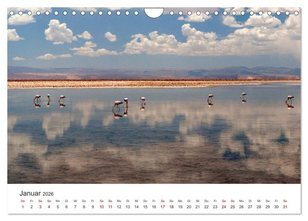 Produktbild: Die Farben der Anden - Argentinien und Chile (Wandkalender 2026 DIN A4 quer), CALVENDO Monatskalender