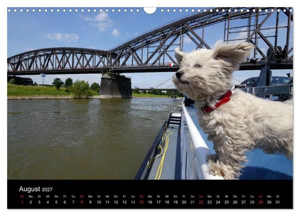 Produktbild: Binnenschiff Ahoi! (Wandkalender 2027 DIN A3 quer), CALVENDO Monatskalender