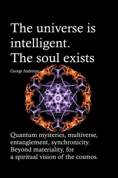 Produktbild: The universe is intelligent. The soul exists. Quantum mysteries, multiverse, entanglement, synchronicity. Beyond materiality, for a spiritual vision o