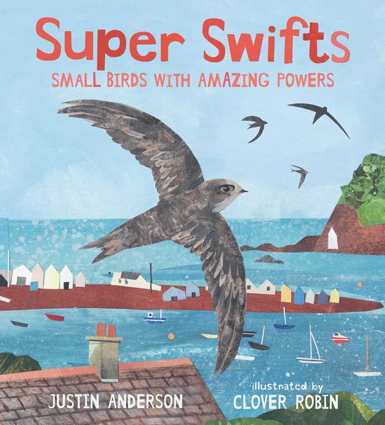 Produktbild: Super Swifts: Small Birds with Amazing Powers