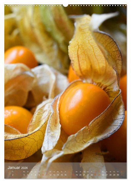 Produktbild: Blaubeeren, Himbeeren & Co - Makrofotografie in der K&uuml;che (Wandkalender 2026 DIN A2 hoch), CALVENDO Monatskalender