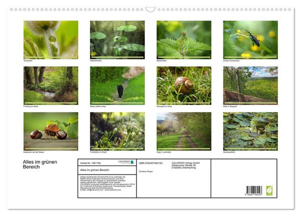 Produktbild: Alles im gr&uuml;nen Bereich (Wandkalender 2026 DIN A2 quer), CALVENDO Monatskalender