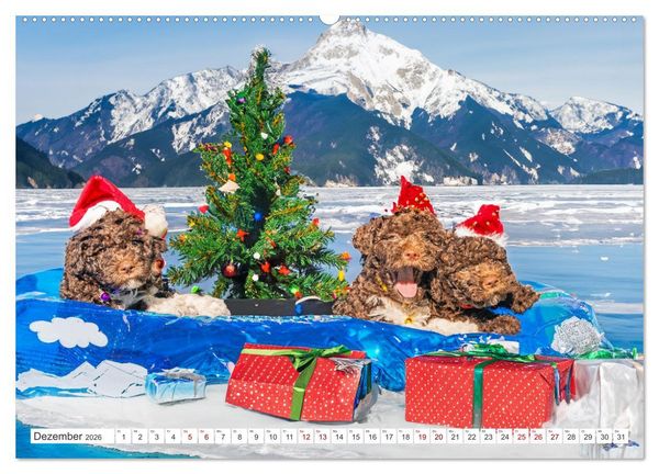 Produktbild: Lagotto Romagnolo Welpen - Sieben kleine Weltentdecker auf gro&szlig;er Fahrt (hochwertiger Premium Wandkalender 2026 DIN A2 quer), Kunstdruck in Hochglanz