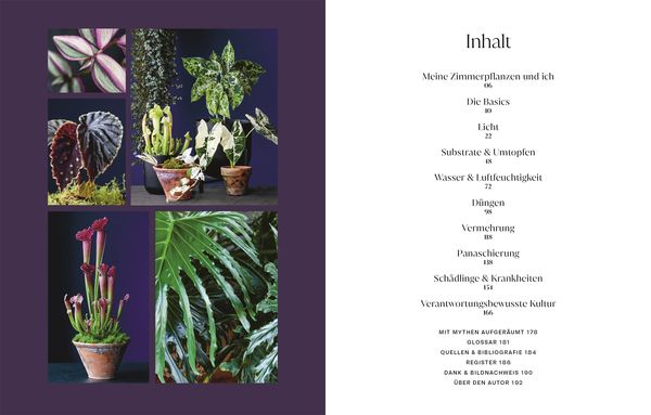 Urban Jungle Style