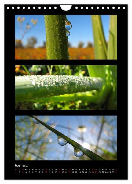 Produktbild: ZAUBERWELT DER BLUMEN - EISKRISTALLE & WASSERPERLEN (Wandkalender 2026 DIN A4 hoch), CALVENDO Monatskalender