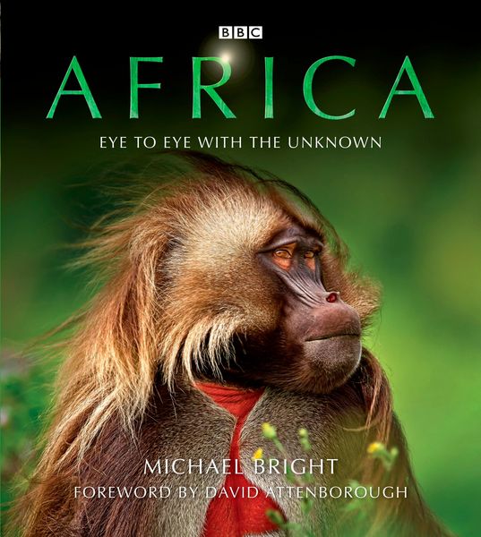 Produktbild: Africa