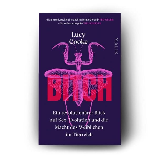 Produktbild: Bitch &ndash; Ein revolution&auml;rer Blick auf Sex, Evolution und die Macht des Weiblichen im Tierreich
