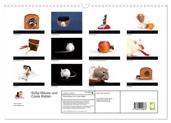 Produktbild: S&uuml;&szlig;e M&auml;use und Coole Ratten (Wandkalender 2026 DIN A3 quer), CALVENDO Monatskalender