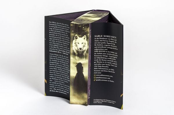 Produktbild: Dire Bound