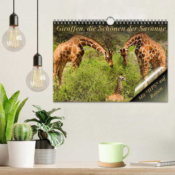 Produktbild: Giraffen, die Sch&ouml;nen der Savanne (Wandkalender 2026 DIN A4 quer), CALVENDO Monatskalender