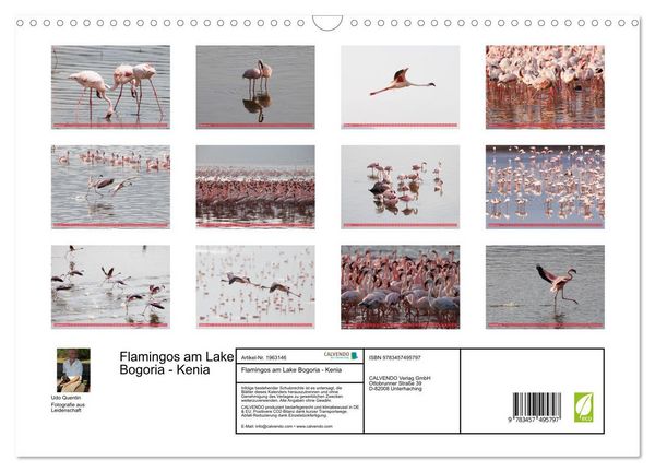 Produktbild: Flamingos am Lake Bogoria - Kenia (Wandkalender 2026 DIN A3 quer), CALVENDO Monatskalender