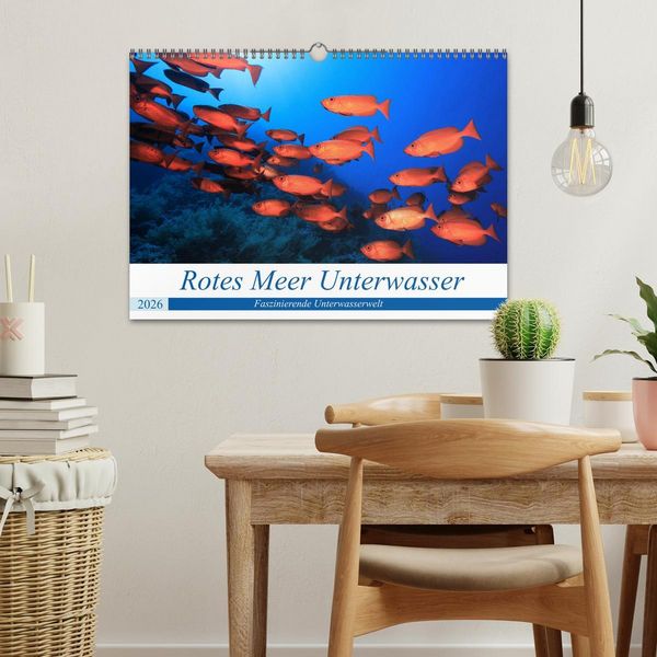 Produktbild: Rotes Meer Unterwasser (Wandkalender 2026 DIN A3 quer), CALVENDO Monatskalender