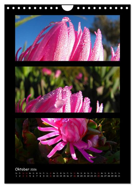 Produktbild: ZAUBERWELT DER BLUMEN - EISKRISTALLE & WASSERPERLEN (Wandkalender 2026 DIN A4 hoch), CALVENDO Monatskalender