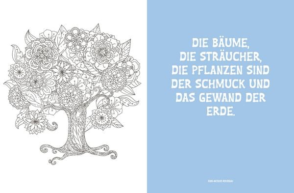 Produktbild: Colorful Mandala &ndash; Botanischer Garten