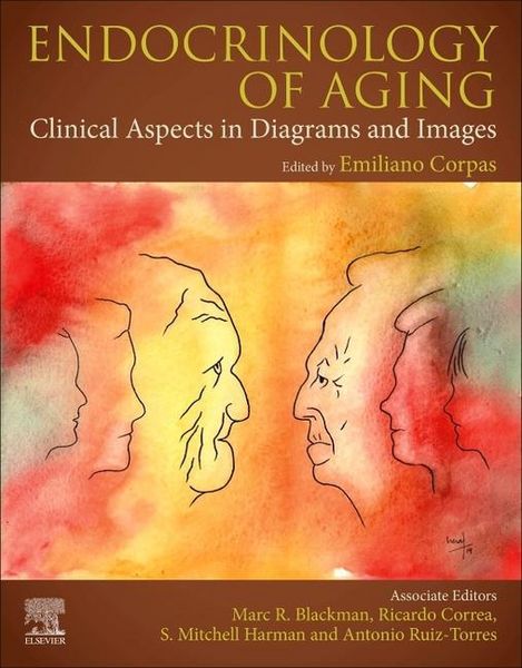 Produktbild: Endocrinology Of Aging