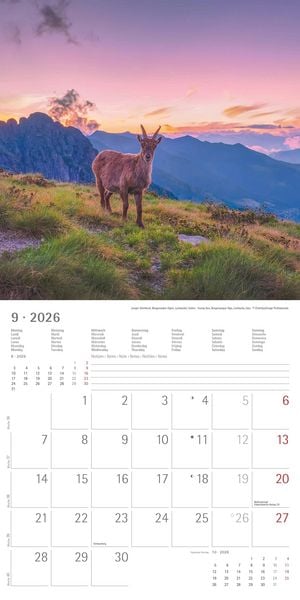 Produktbild: Alpha Edition - Alpen 2026 Broschürenkalender, 30x30cm, Wandkalender mit Platz für Notizen und Termine, Aufnahmen der Alpen, Monatsübersicht und Ferie