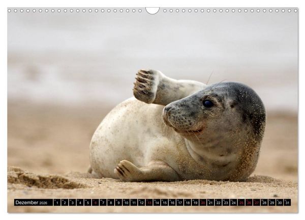Produktbild: Sylt ist Meer (Wandkalender 2026 DIN A3 quer), CALVENDO Monatskalender