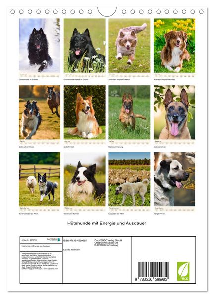 Produktbild: H&uuml;tehunde mit Energie und Ausdauer (Wandkalender 2026 DIN A4 hoch), CALVENDO Monatskalender