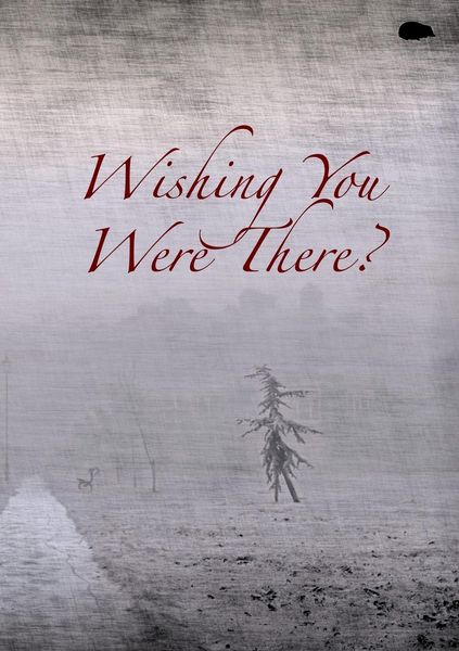 Produktbild: Wishing You Were There?