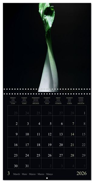 Produktbild: Les l&eacute;gumes hauts en couleur (Calendrier mural carr&eacute; 2026 30x30 cm) Calendrier double avec une page pour vos prises de notes