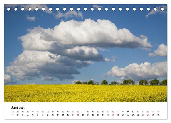 Produktbild: Rapsodie (Tischkalender 2026 DIN A5 quer), CALVENDO Monatskalender