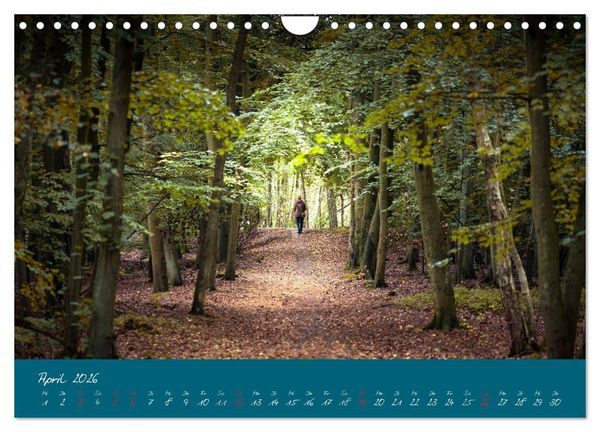 Produktbild: Blick auf die Halbinsel Fischland, Dar&szlig; und Zingst (Wandkalender 2026 DIN A4 quer), CALVENDO Monatskalender