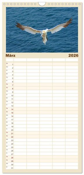 Produktbild: Familienplaner 2026 - An der Nordsee mit 5 Spalten (Wandkalender, 21 x 45 cm) CALVENDO