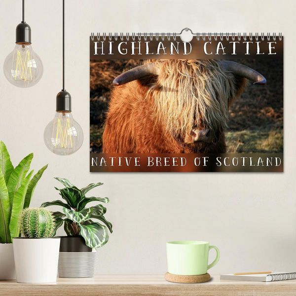 Produktbild: Highland Cattle - Native Breed of Scotland (Wall Calendar 2026 DIN A4 landscape), CALVENDO 12 Month Wall Calendar