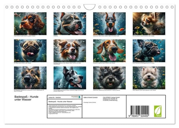 Produktbild: Badespa&szlig; - Hunde unter Wasser (Wandkalender 2026 DIN A4 quer), CALVENDO Monatskalender