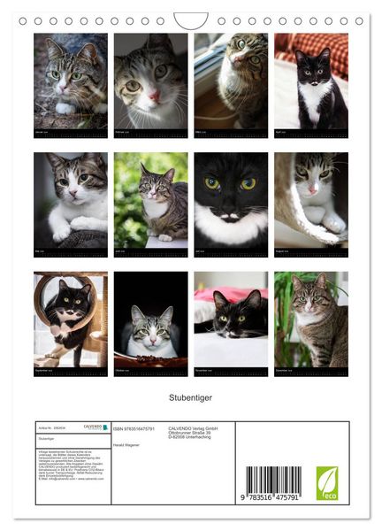 Produktbild: Stubentiger (Wandkalender 2026 DIN A4 hoch), CALVENDO Monatskalender