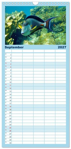 Produktbild: Familienplaner 2027 - Abenteuer Riff - bunte Unterwasserwelt mit 5 Spalten (Wandkalender, 21 x 45 cm) CALVENDO