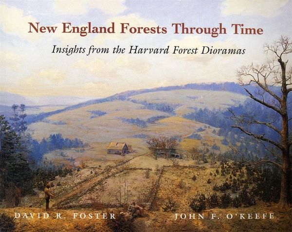 Produktbild: New England Forests Through Time