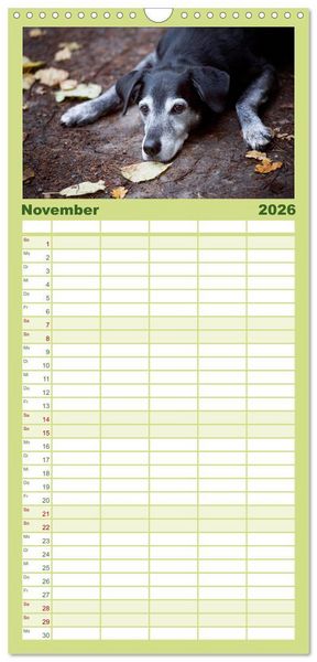 Produktbild: Familienplaner 2026 - Labrador Retriever mit 5 Spalten (Wandkalender, 21 x 45 cm) CALVENDO