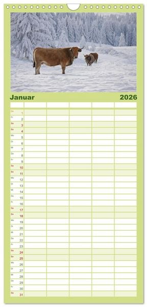 Produktbild: Familienplaner 2026 - Weiderinder im Frankenwald mit 5 Spalten (Wandkalender, 21 x 45 cm) CALVENDO