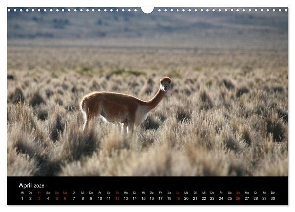 Produktbild: Bolivien (Wandkalender 2026 DIN A3 quer), CALVENDO Monatskalender