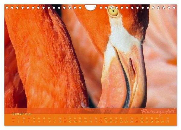 Produktbild: Flamingo Art 2026 (Wandkalender 2026 DIN A4 quer), CALVENDO Monatskalender