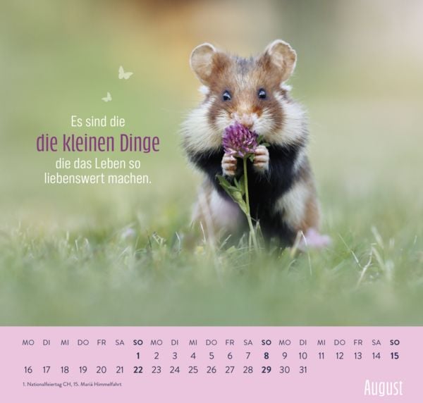 Produktbild: Wandkalender 2027: Kleine Gl&uuml;cksbringer f&uuml;r dein Jahr
