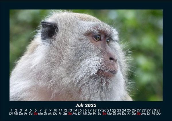 Produktbild: Bali 2025 Fotokalender DIN A5