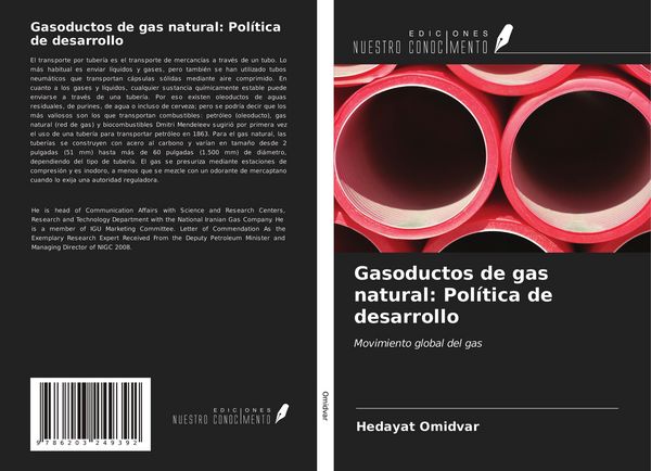 Produktbild: Gasoductos de gas natural: Pol&iacute;tica de desarrollo