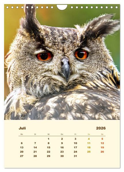 Produktbild: Uhu, die Faszination bernsteinfarbener Augen (Wandkalender 2026 DIN A4 hoch), CALVENDO Monatskalender