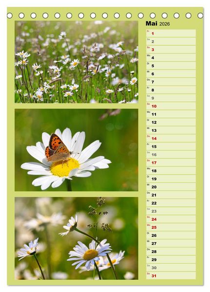 Produktbild: Farbenzauber, bunte Wiesen und bunte Falter (Tischkalender 2026 DIN A5 hoch), CALVENDO Monatskalender