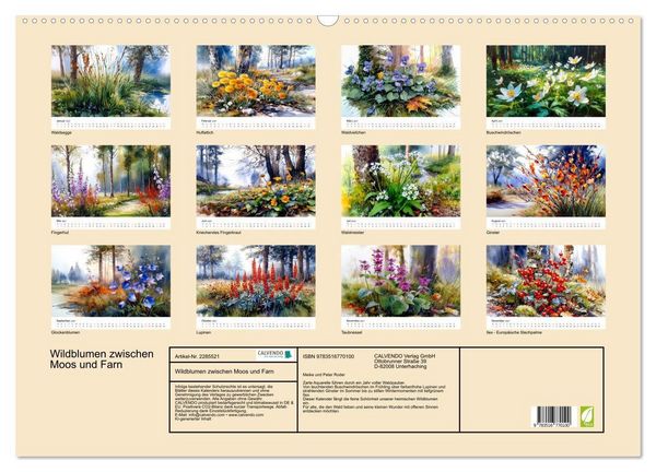 Produktbild: Wildblumen zwischen Moos und Farn (Wandkalender 2027 DIN A2 quer), CALVENDO Monatskalender