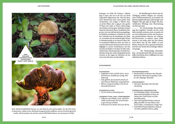 Produktbild: Mushroom Fever