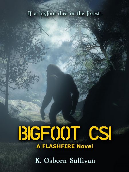 Produktbild: Bigfoot CSI