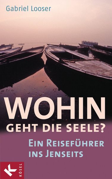 Produktbild: Wohin geht die Seele?