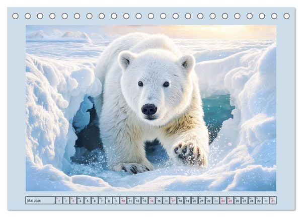 Produktbild: Im Reich der Eisb&auml;ren. Imposante K&ouml;nige des Nordlichts (Tischkalender 2026 DIN A5 quer), CALVENDO Monatskalender